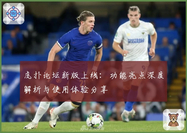 虎扑论坛新版上线：功能亮点深度解析与使用体验分享